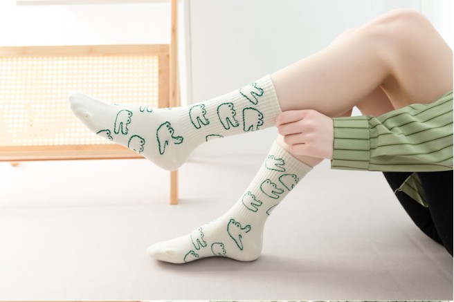 Модные женские повседневные но – обзор и цена Embroidery On Socks